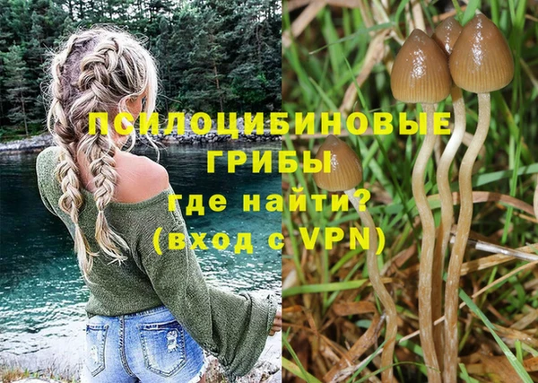 СК Арсеньев