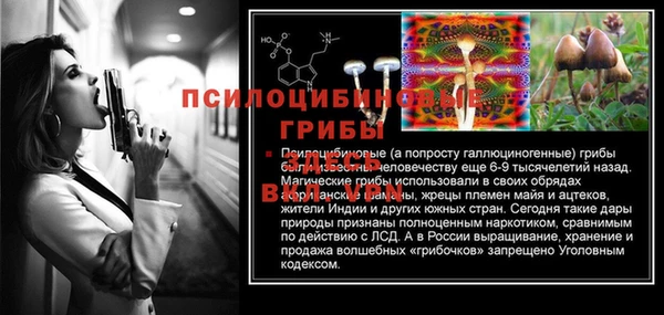 СК Арсеньев