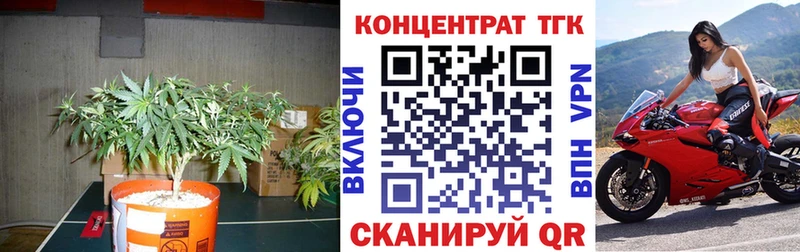 Купить где  Видное  ТГК THC oil 