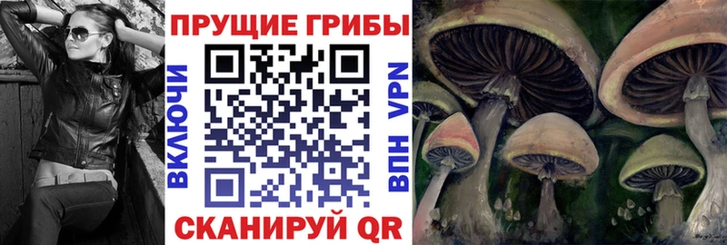 Галлюциногенные грибы прущие грибы  Купить  Видное 
